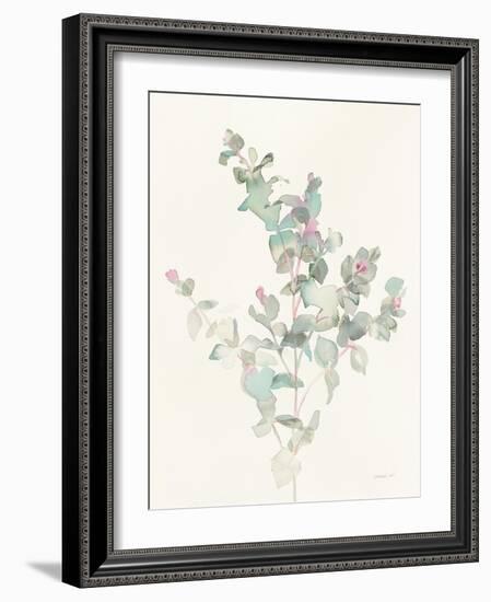 Eucalyptus II-Danhui Nai-Framed Art Print