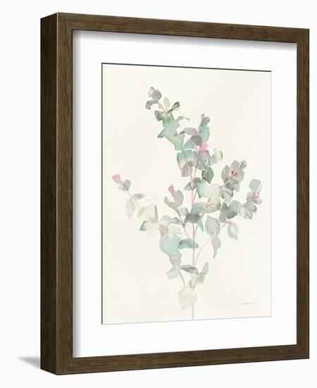 Eucalyptus II-Danhui Nai-Framed Art Print