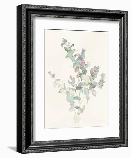 Eucalyptus II-Danhui Nai-Framed Art Print