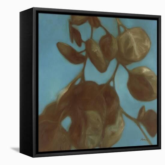 Eucalyptus II-Julianne Marcoux-Framed Stretched Canvas