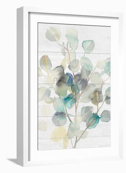 Eucalyptus III on Shiplap Crop-Danhui Nai-Framed Art Print