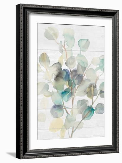 Eucalyptus III on Shiplap Crop-Danhui Nai-Framed Art Print