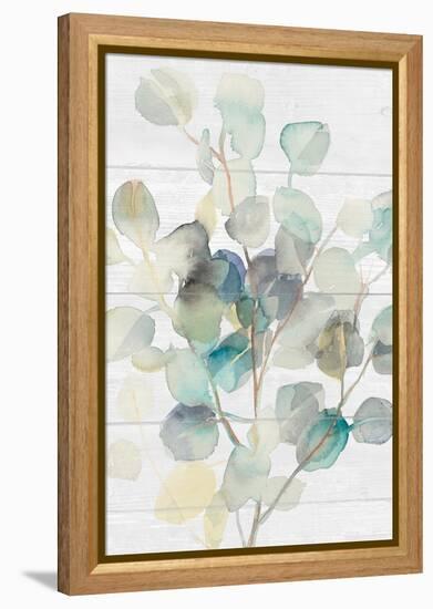 Eucalyptus III on Shiplap Crop-Danhui Nai-Framed Stretched Canvas