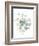 Eucalyptus III White-Danhui Nai-Framed Premium Giclee Print