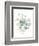 Eucalyptus III White-Danhui Nai-Framed Premium Giclee Print