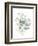 Eucalyptus III White-Danhui Nai-Framed Premium Giclee Print