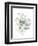 Eucalyptus III White-Danhui Nai-Framed Premium Giclee Print