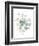 Eucalyptus III White-Danhui Nai-Framed Premium Giclee Print