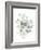 Eucalyptus III White-Danhui Nai-Framed Art Print