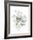 Eucalyptus III White-Danhui Nai-Framed Art Print