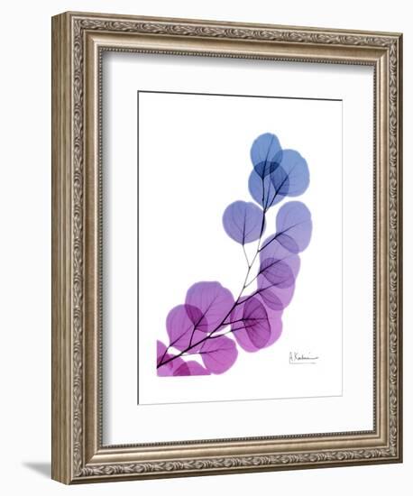 Eucalyptus in Purp-Albert Koetsier-Framed Premium Giclee Print