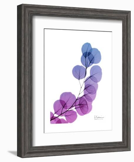 Eucalyptus in Purp-Albert Koetsier-Framed Premium Giclee Print