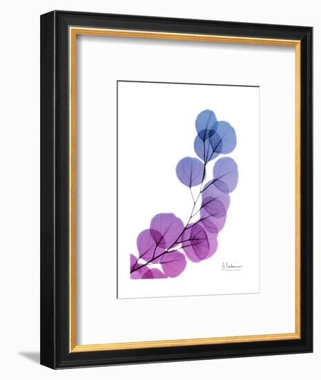 Eucalyptus in Purp-Albert Koetsier-Framed Premium Giclee Print