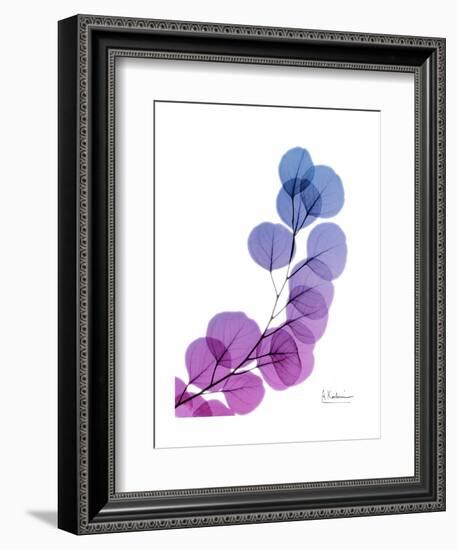 Eucalyptus in Purp-Albert Koetsier-Framed Premium Giclee Print