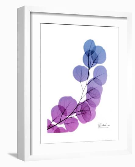 Eucalyptus in Purp-Albert Koetsier-Framed Premium Giclee Print