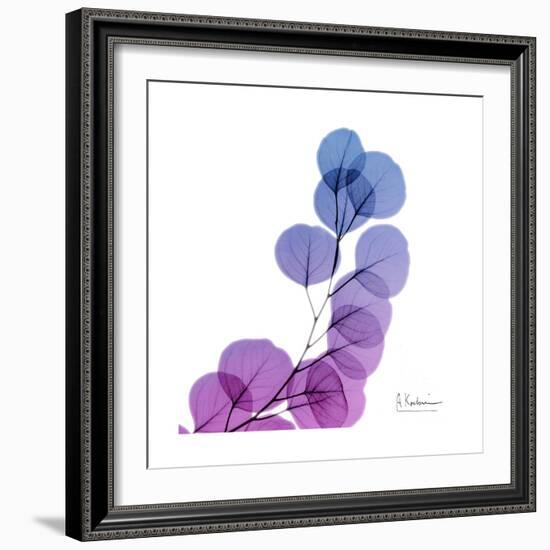 Eucalyptus in Purp-Albert Koetsier-Framed Art Print