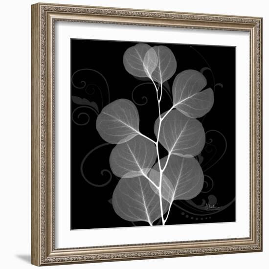 Eucalyptus Leaf Xray-Albert Koetsier-Framed Art Print