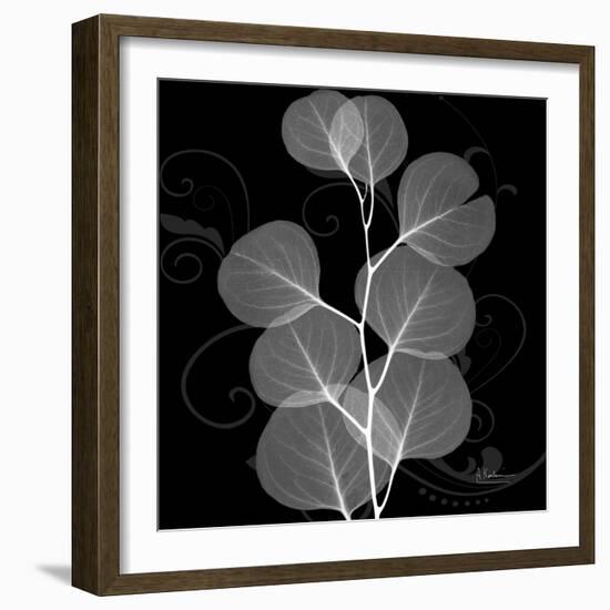 Eucalyptus Leaf Xray-Albert Koetsier-Framed Art Print