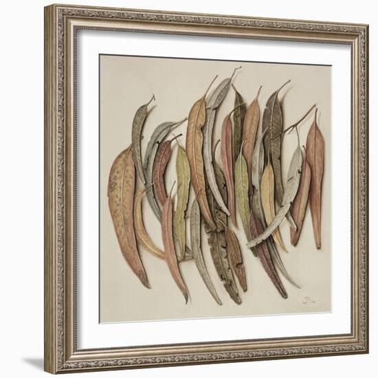 Eucalyptus Leaves, 2004-Jenny Barron-Framed Giclee Print