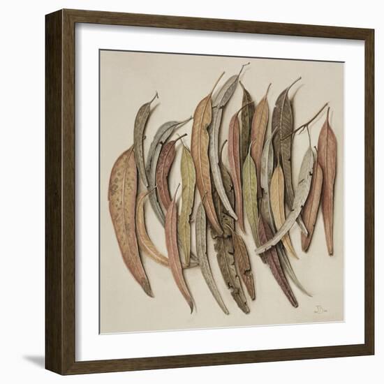 Eucalyptus Leaves, 2004-Jenny Barron-Framed Giclee Print