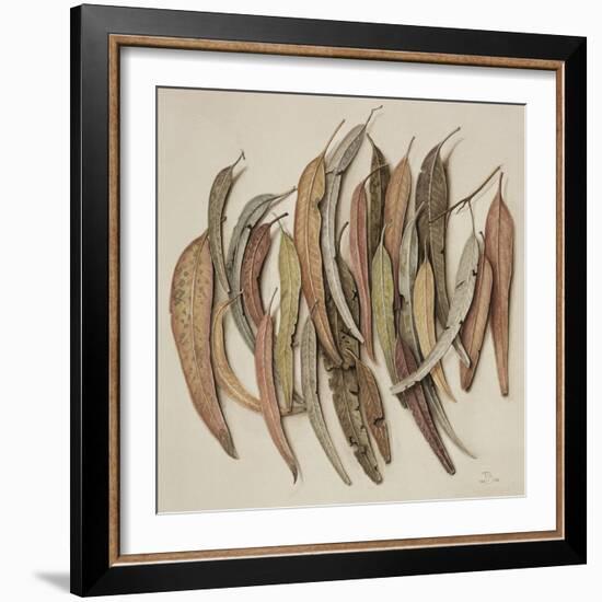 Eucalyptus Leaves, 2004-Jenny Barron-Framed Giclee Print