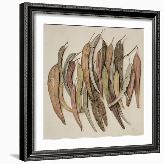 Eucalyptus Leaves, 2004-Jenny Barron-Framed Giclee Print