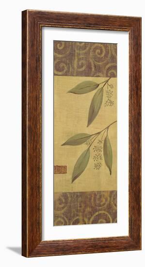 Eucalyptus Leaves II-Gayle Bighouse-Framed Art Print