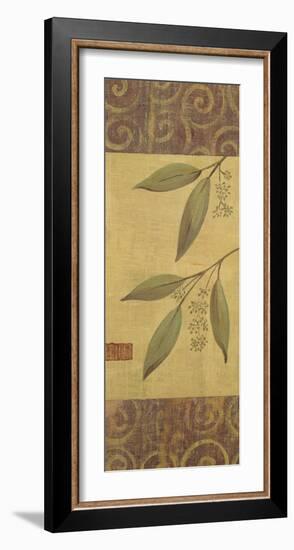 Eucalyptus Leaves II-Gayle Bighouse-Framed Art Print