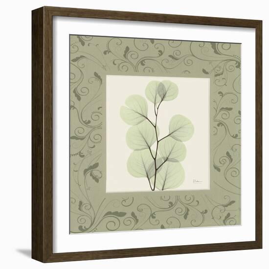 Eucalyptus Mat 1-Albert Koetsier-Framed Art Print