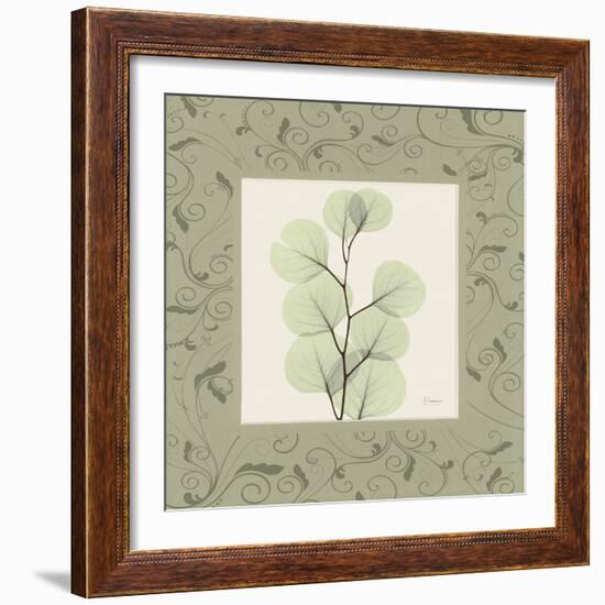 Eucalyptus Mat 1-Albert Koetsier-Framed Art Print