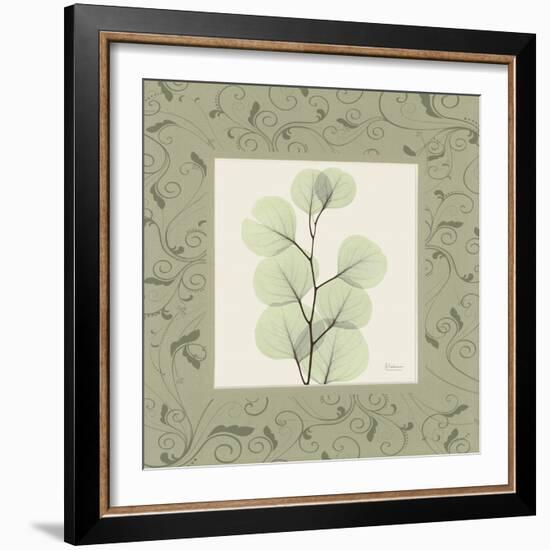 Eucalyptus Mat 1-Albert Koetsier-Framed Art Print