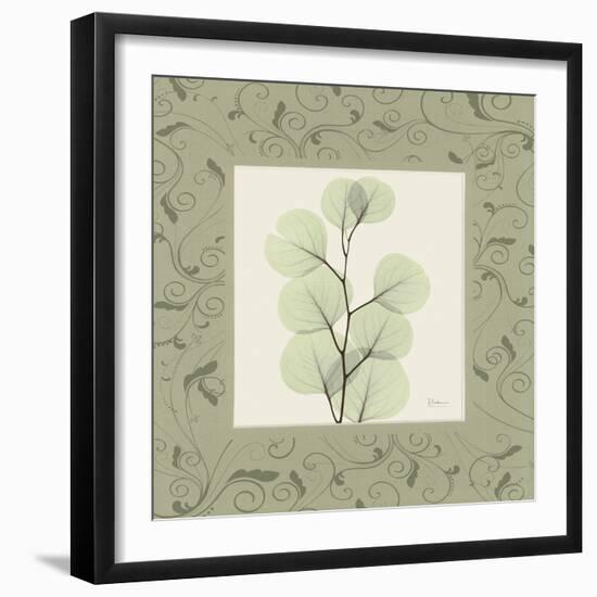 Eucalyptus Mat 1-Albert Koetsier-Framed Art Print