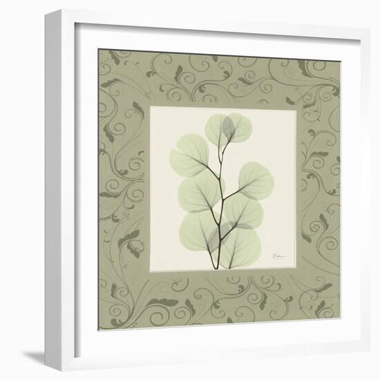 Eucalyptus Mat 1-Albert Koetsier-Framed Art Print