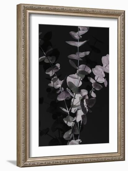 Eucalyptus_Negative_001-Pictufy Studio III-Framed Giclee Print