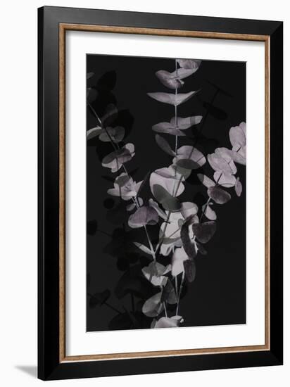 Eucalyptus_Negative_001-Pictufy Studio III-Framed Giclee Print