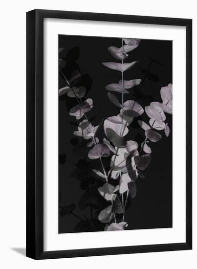 Eucalyptus_Negative_001-Pictufy Studio III-Framed Giclee Print