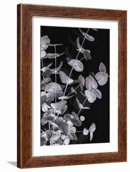 Eucalyptus_Negative_003-Pictufy Studio III-Framed Giclee Print