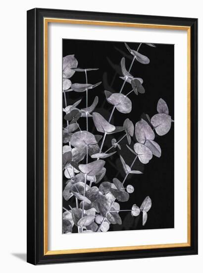 Eucalyptus_Negative_003-Pictufy Studio III-Framed Giclee Print