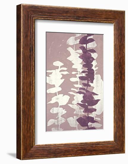 Eucalyptus, Roseberry-Denise Duplock-Framed Giclee Print