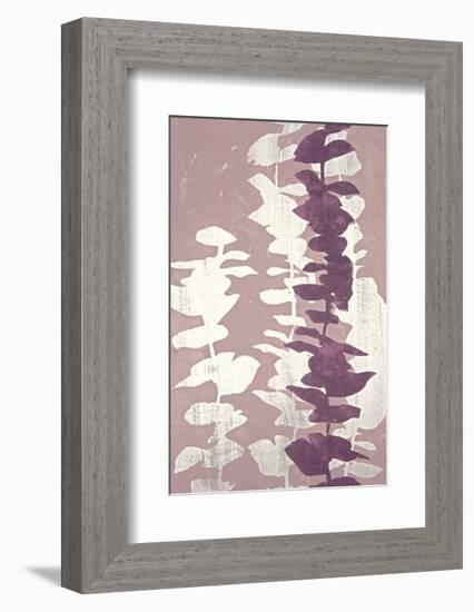 Eucalyptus - Roseberry-Denise Duplock-Framed Art Print