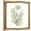 Eucalyptus Serenity-Albert Koetsier-Framed Stretched Canvas