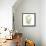 Eucalyptus Serenity-Albert Koetsier-Framed Stretched Canvas displayed on a wall