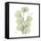 Eucalyptus Serenity-Albert Koetsier-Framed Stretched Canvas