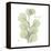 Eucalyptus Serenity-Albert Koetsier-Framed Stretched Canvas