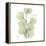 Eucalyptus Serenity-Albert Koetsier-Framed Stretched Canvas