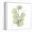 Eucalyptus Serenity-Albert Koetsier-Framed Stretched Canvas