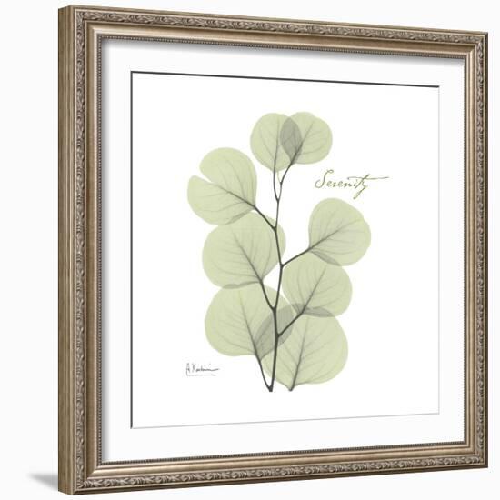 Eucalyptus Serenity-Albert Koetsier-Framed Premium Giclee Print