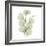 Eucalyptus Serenity-Albert Koetsier-Framed Premium Giclee Print