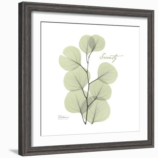 Eucalyptus Serenity-Albert Koetsier-Framed Premium Giclee Print