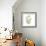 Eucalyptus Serenity-Albert Koetsier-Framed Premium Giclee Print displayed on a wall